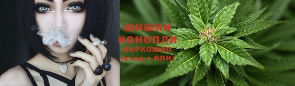 шишки Киреевск
