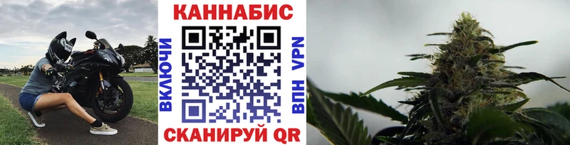 Каннабис White Widow  Купить закладки  Данков 